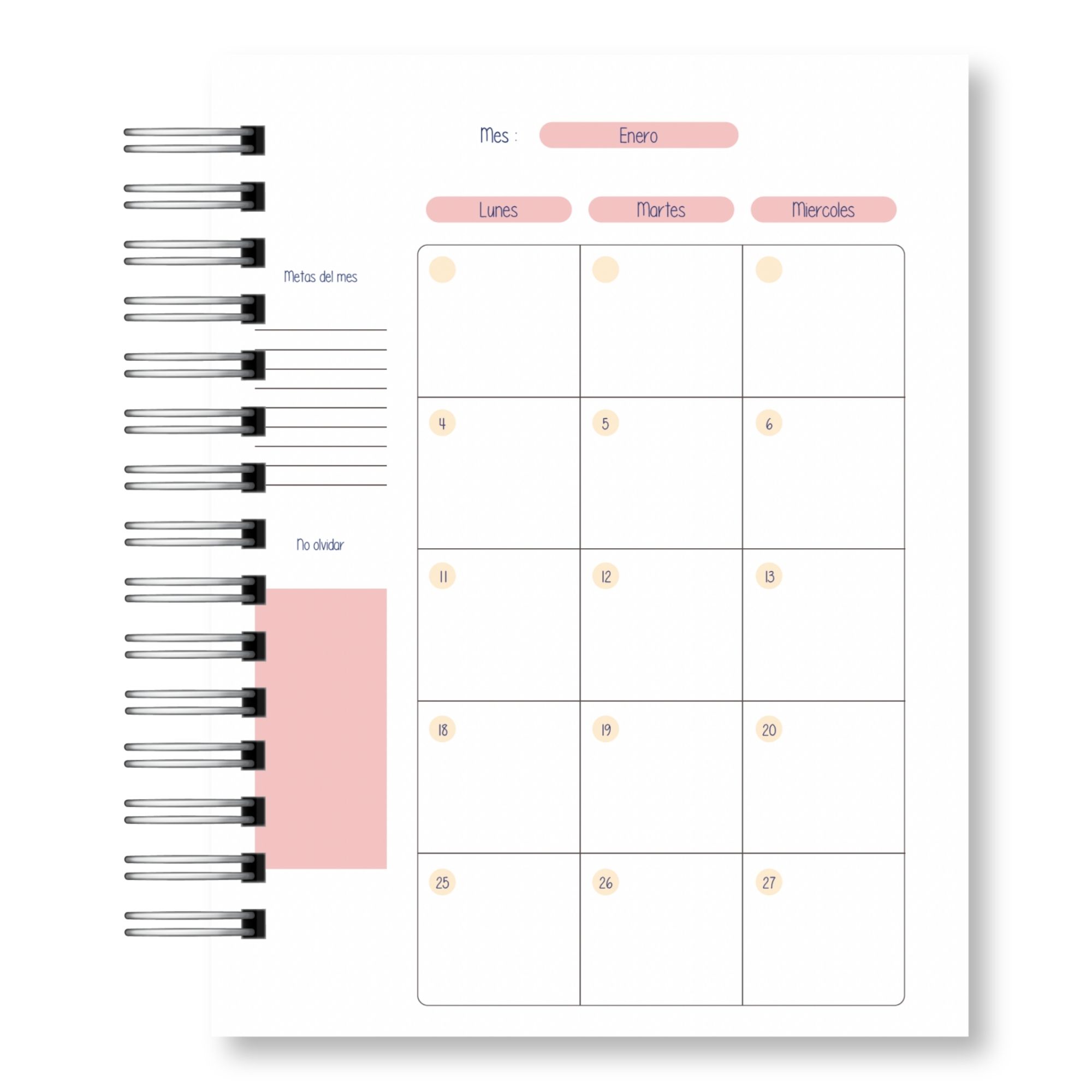 Agenda Matron 2027 13