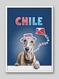 Cuadro Personalizado de Mascota – Edición Patriota Chilena - Miniatura 2