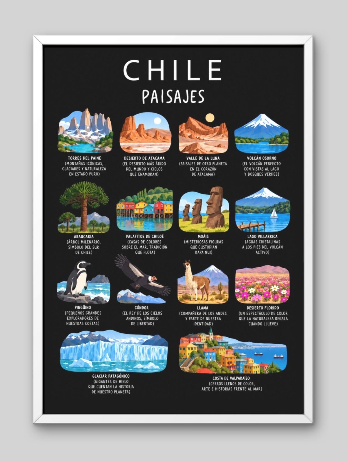 Cuadro Decorativo – Chile Paisajes: Ilustración Geográfica y Natural 2
