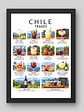 Cuadro Decorativo – Chile Tragos: Ilustración Coctelera y de Bebidas Típicas - Miniatura 1
