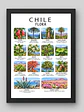 Cuadro Decorativo – Chile Flora: Ilustración Botánica y Especies Nativas - Miniatura 1