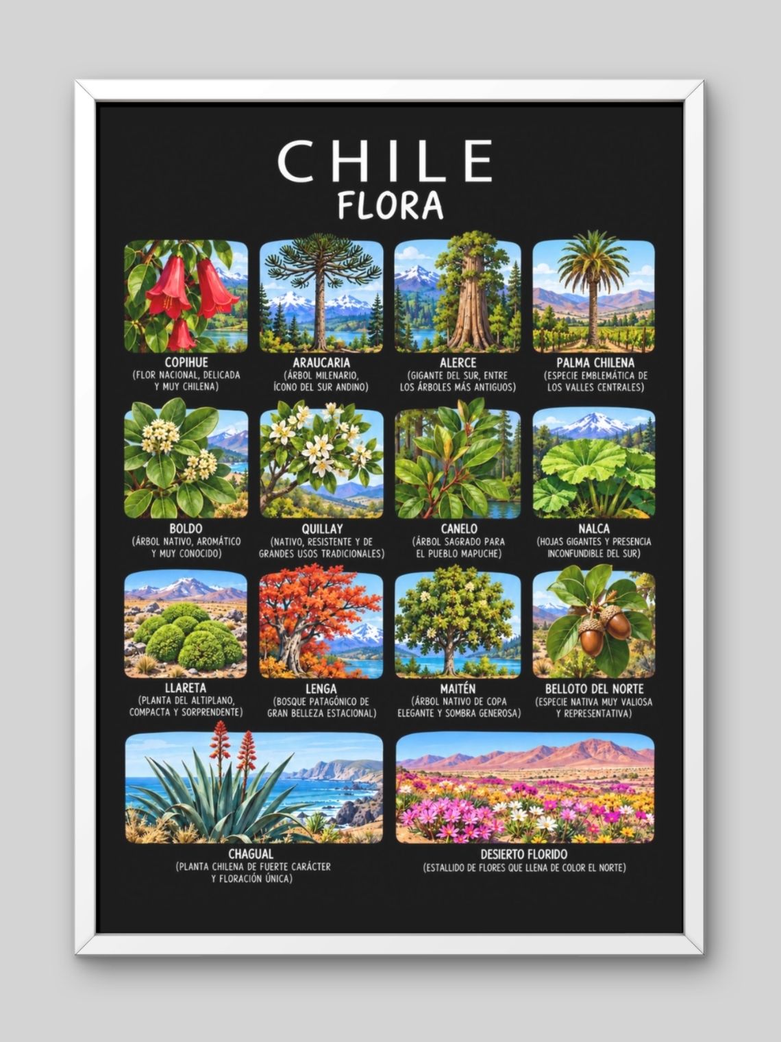 Cuadro Decorativo – Chile Flora: Ilustración Botánica y Especies Nativas 2
