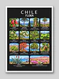 Cuadro Decorativo – Chile Flora: Ilustración Botánica y Especies Nativas - Miniatura 2