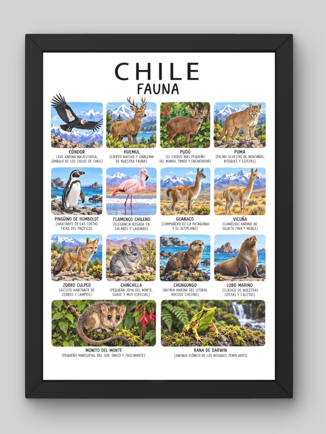 Cuadro Decorativo – Chile Fauna: Ilustración Zoología y Especies Nativas 1
