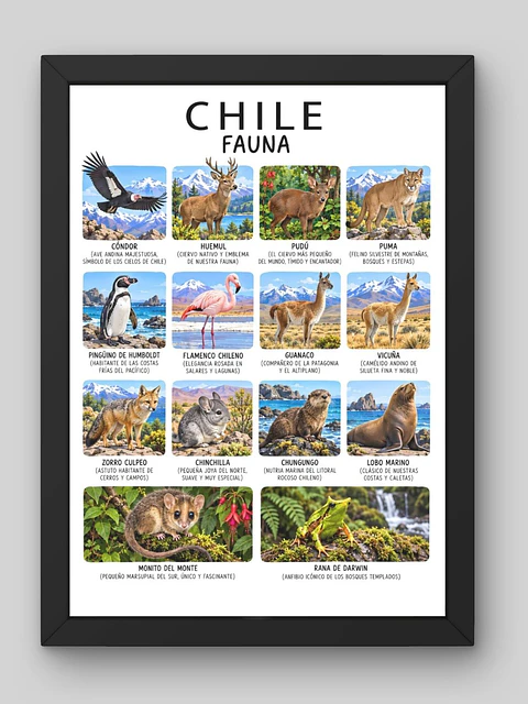 Cuadro Decorativo – Chile Fauna: Ilustración Zoología y Especies Nativas