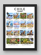 Cuadro Decorativo – Chile Fauna: Ilustración Zoología y Especies Nativas - Miniatura 1