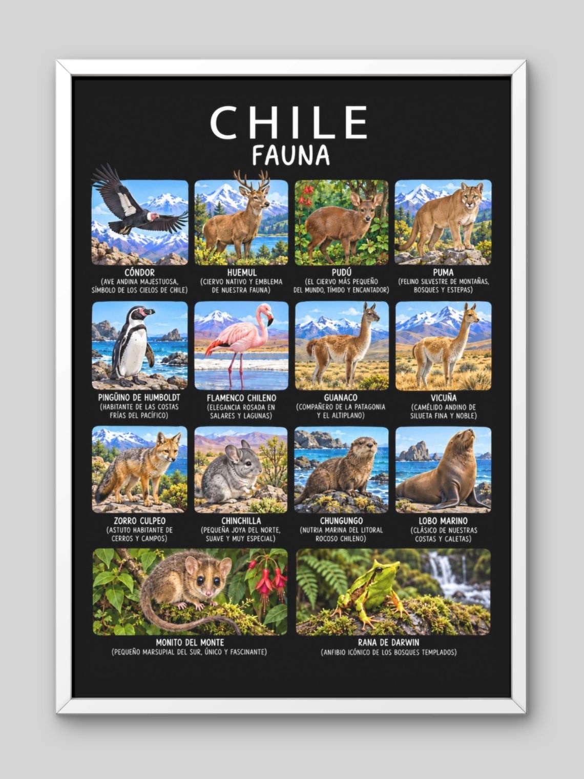Cuadro Decorativo – Chile Fauna: Ilustración Zoología y Especies Nativas 2
