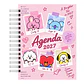 Agenda 2027  – Planes, Ideas & Sueños - Miniatura 11