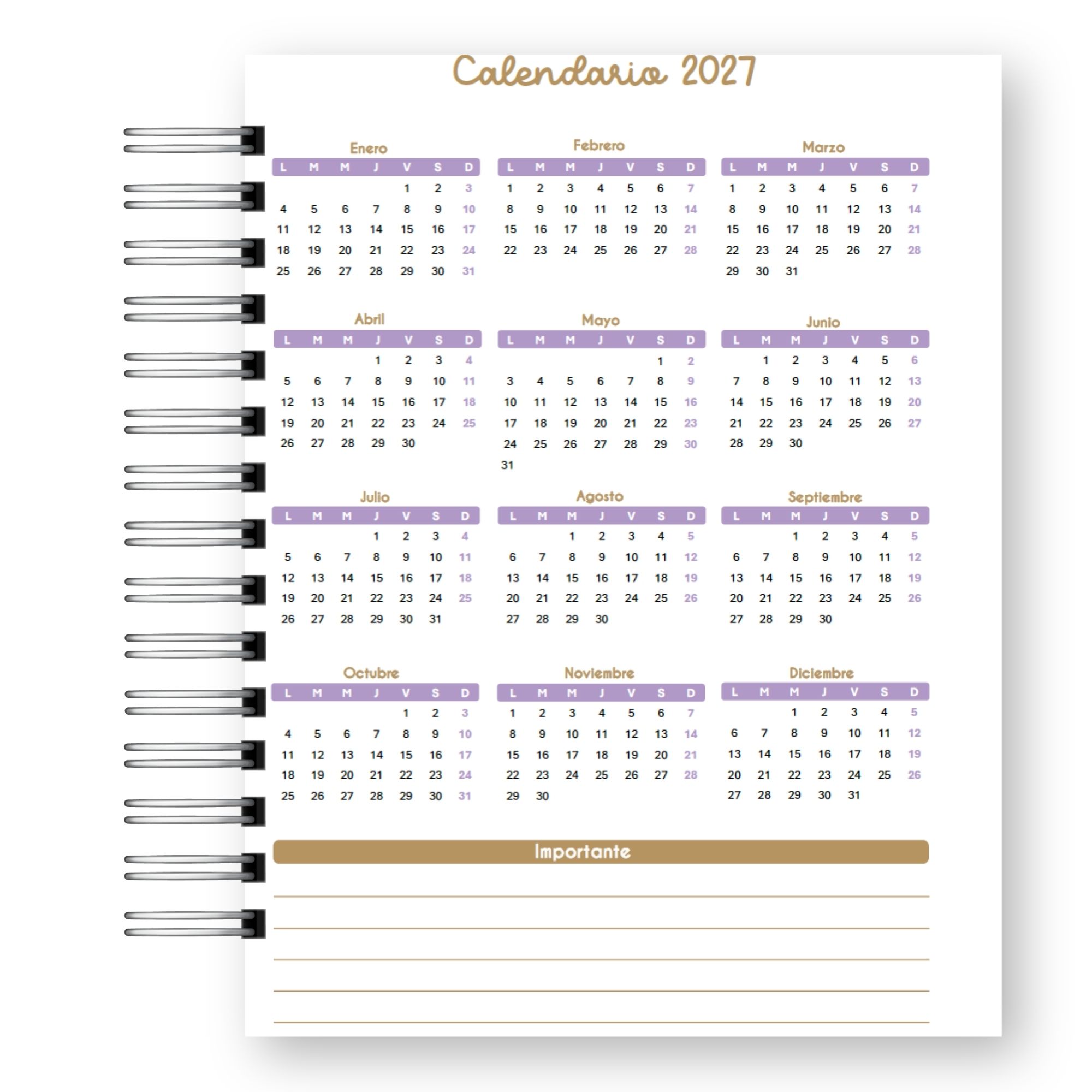 Planner Docente 2027 – Edición Pastel Lluvia de Estrellas  4