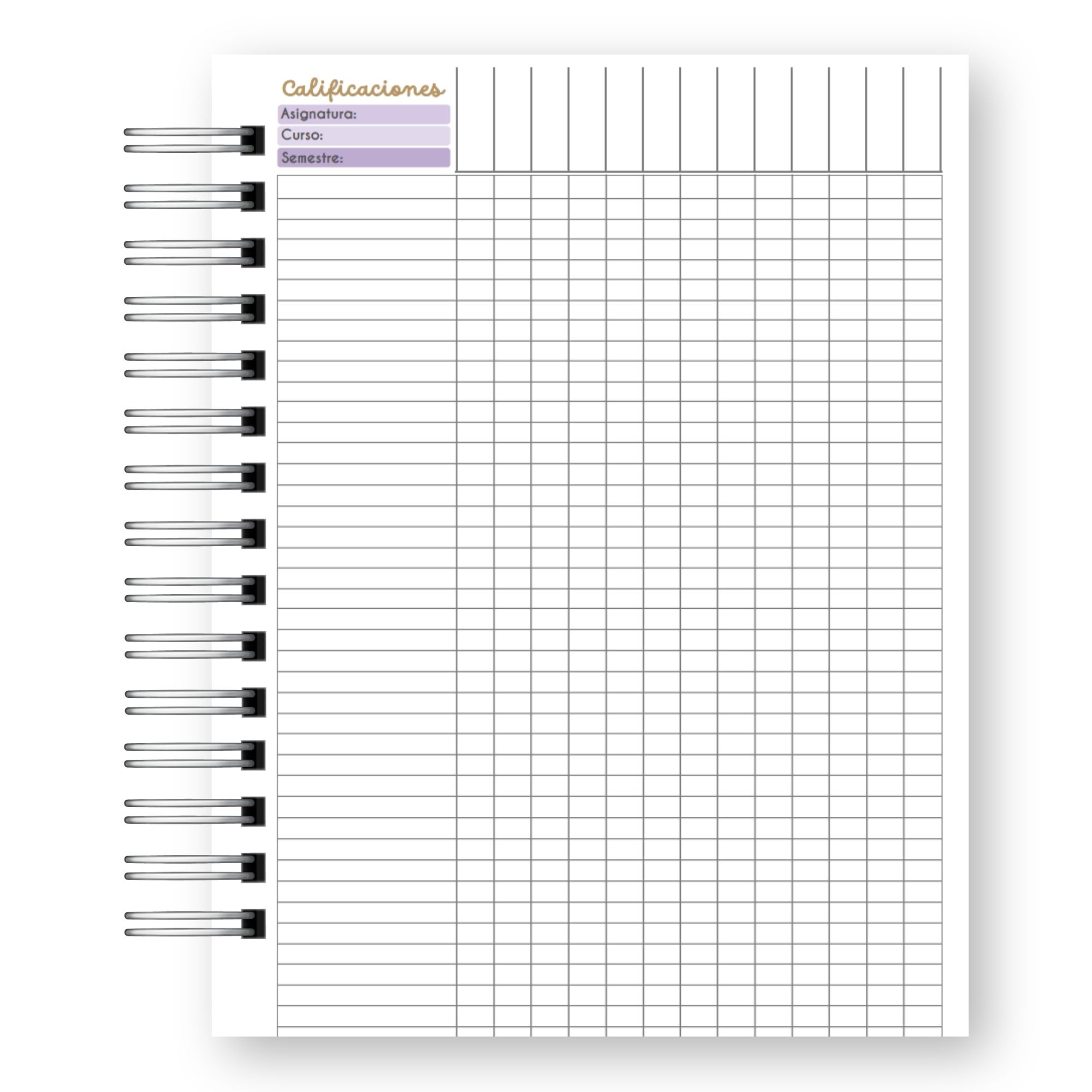 Planner Docente 2027 – Edición Pastel Lluvia de Estrellas  7