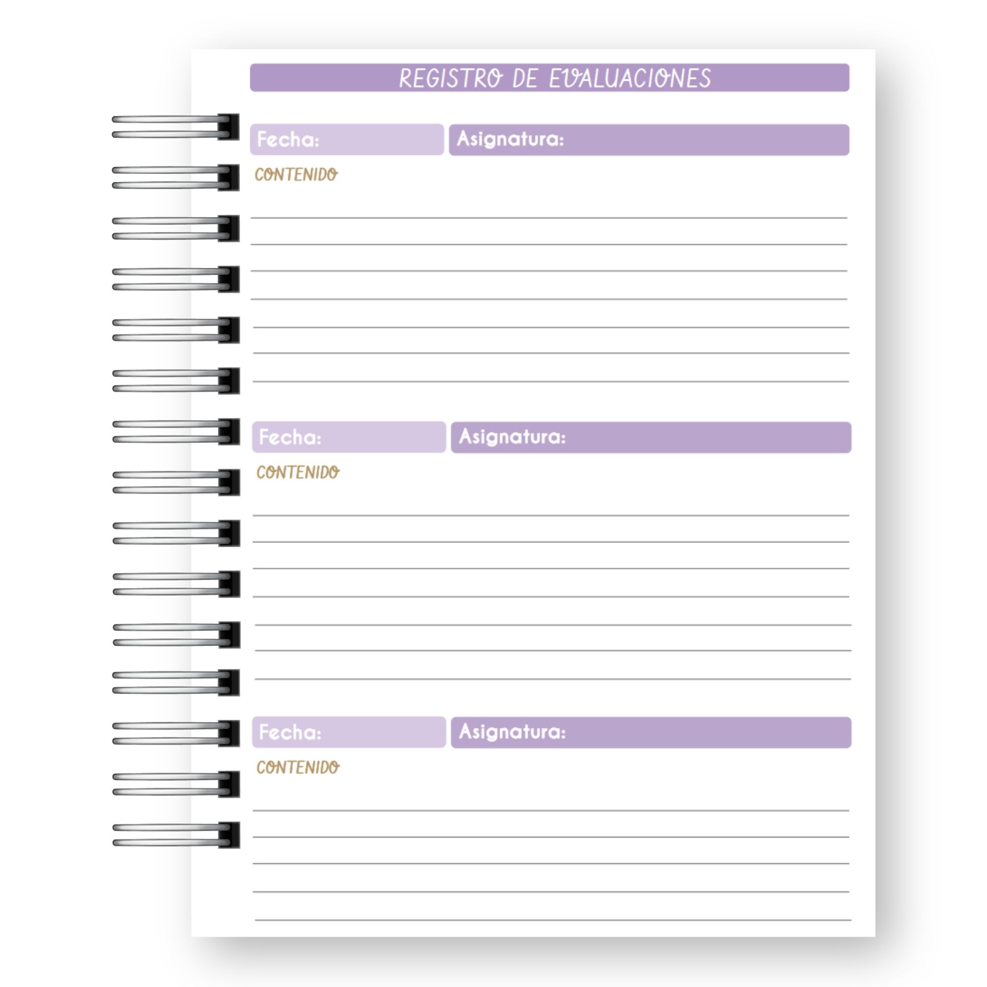 Planner Docente 2027 – Edición Pastel Lluvia de Estrellas  12
