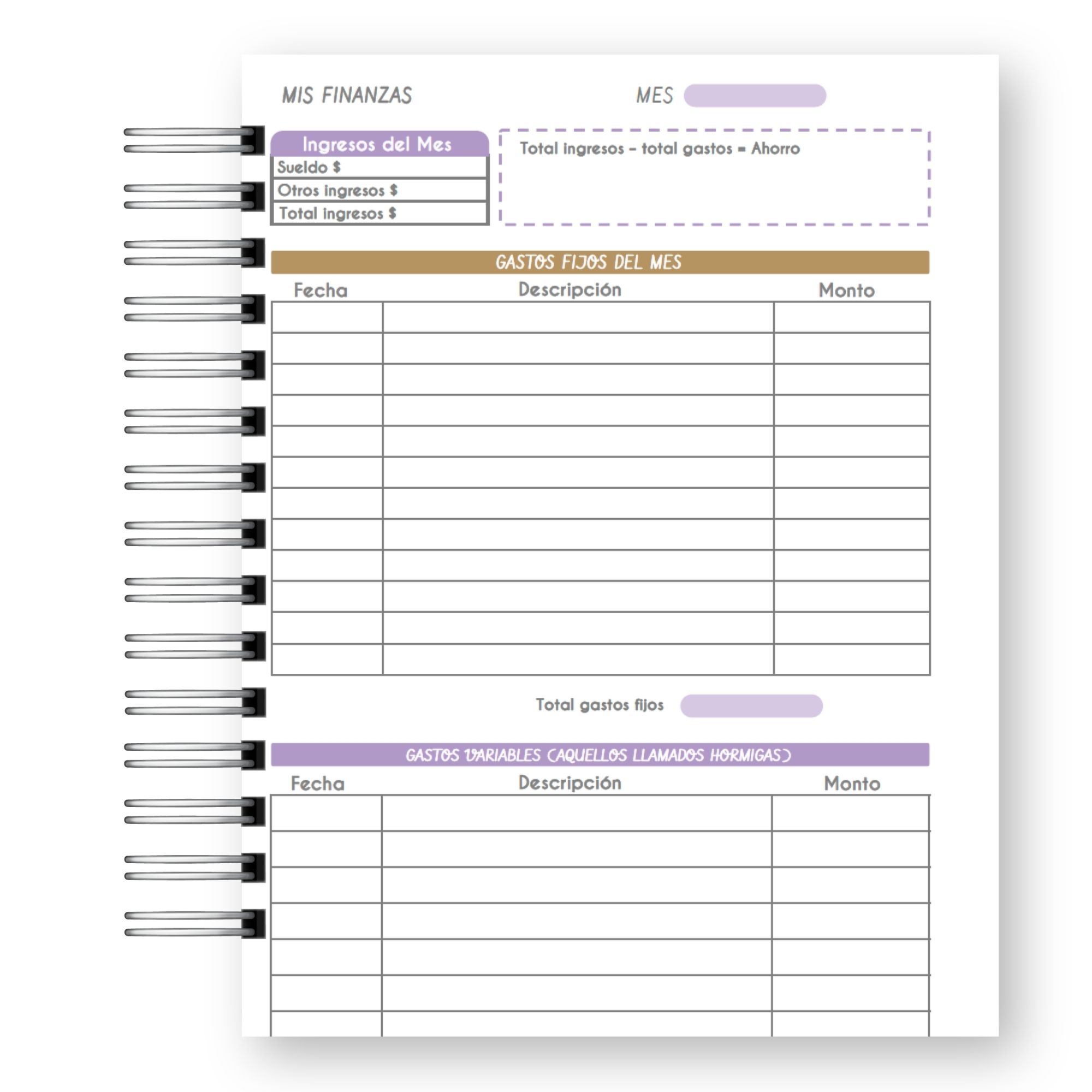 Planner Docente 2027 – Edición Pastel Lluvia de Estrellas  9