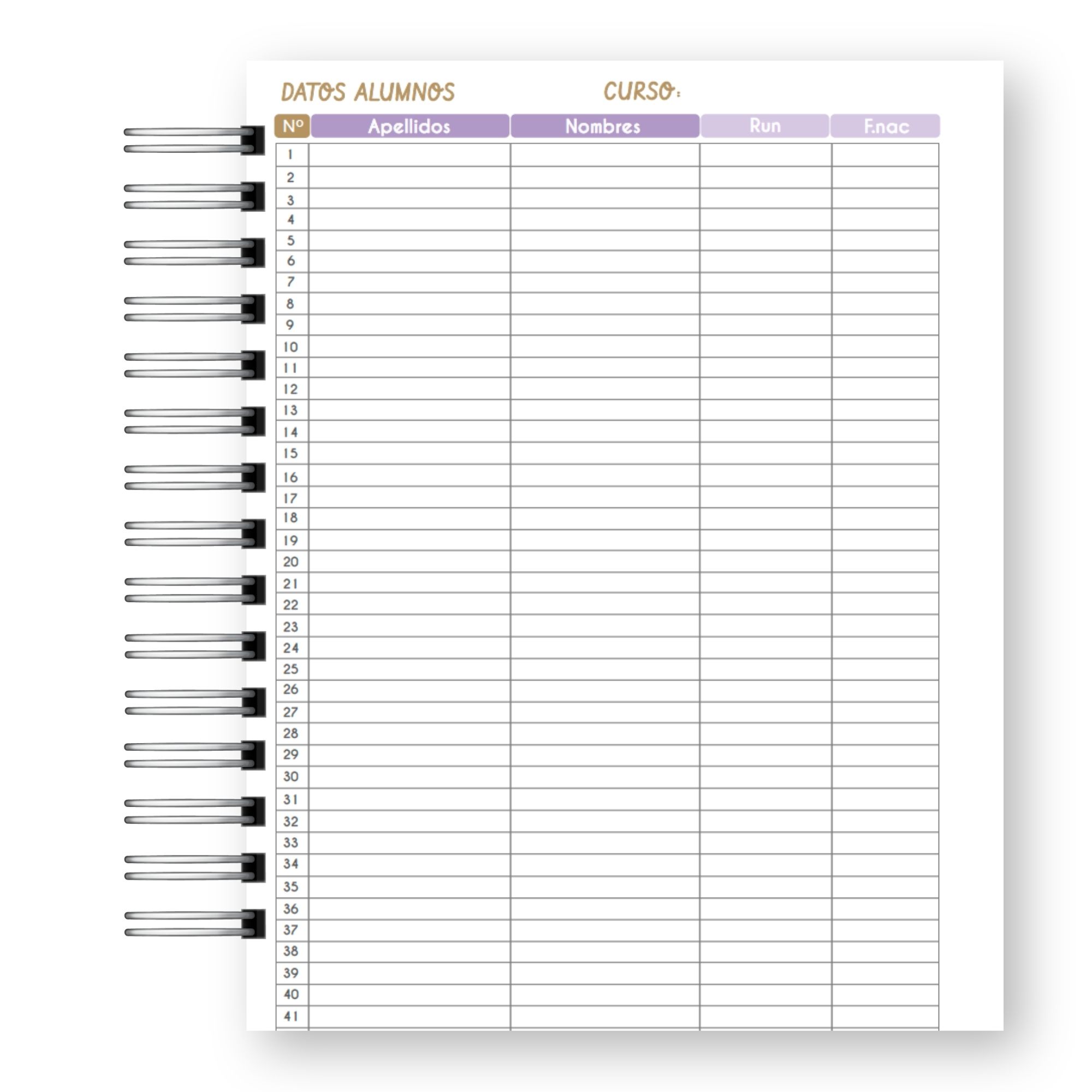 Planner Docente 2027 – Edición Pastel Lluvia de Estrellas  8