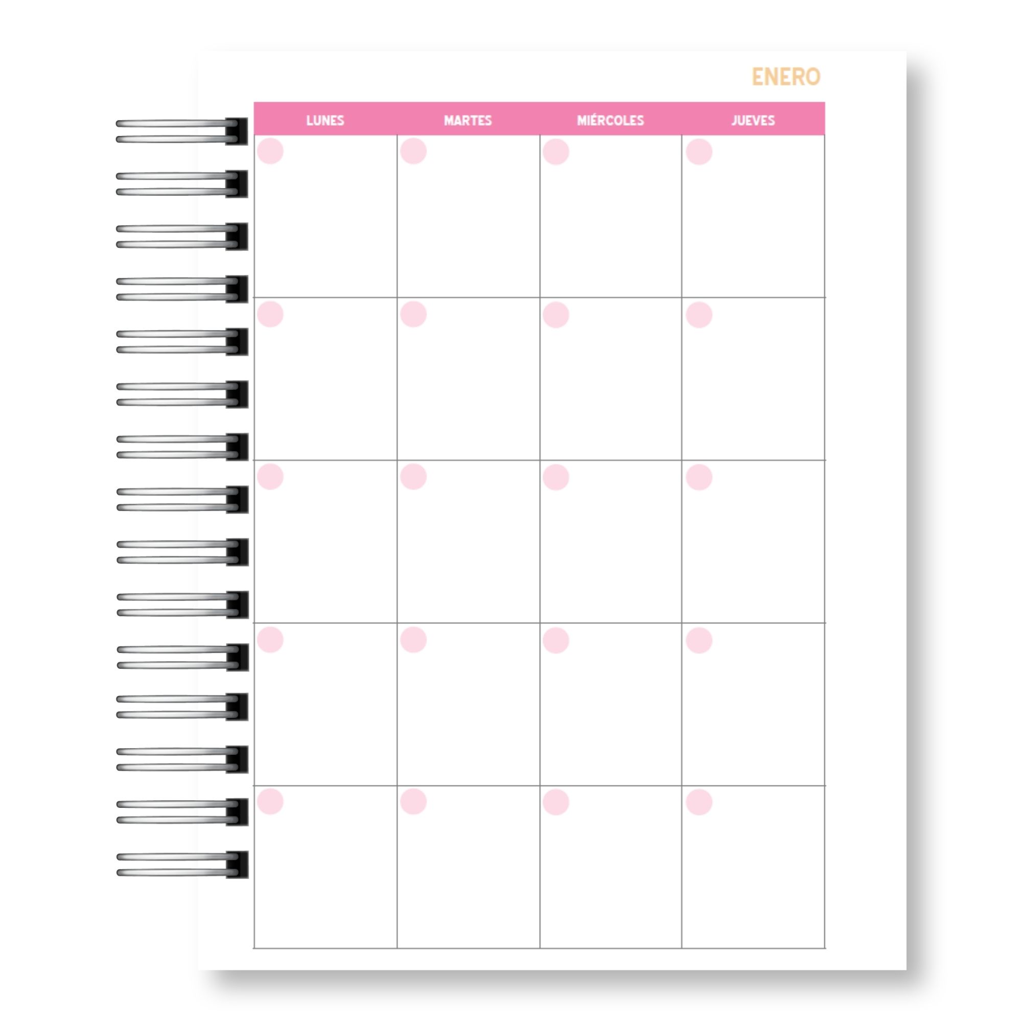 Agenda Odontóloga 2027 – Edición Ilustrada & Salud Dental  6
