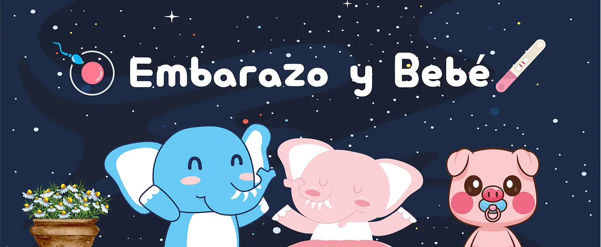 Pigyfante | Papelería, Agendas Profesionales y Regalos Personalizados
