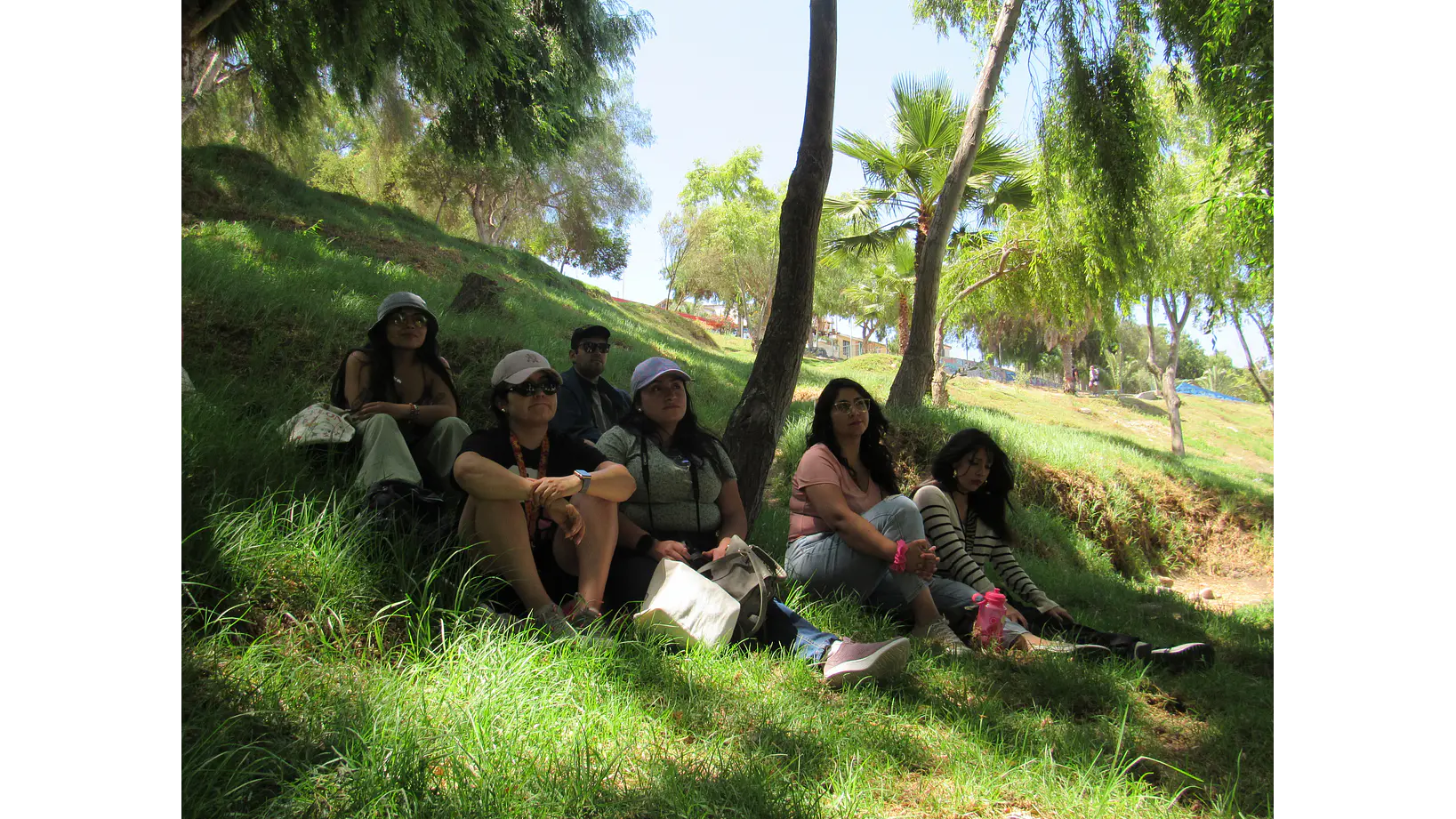 Taller Grupal de Cianotipia 2