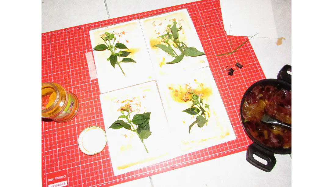 Taller Grupal de Antotipia 2