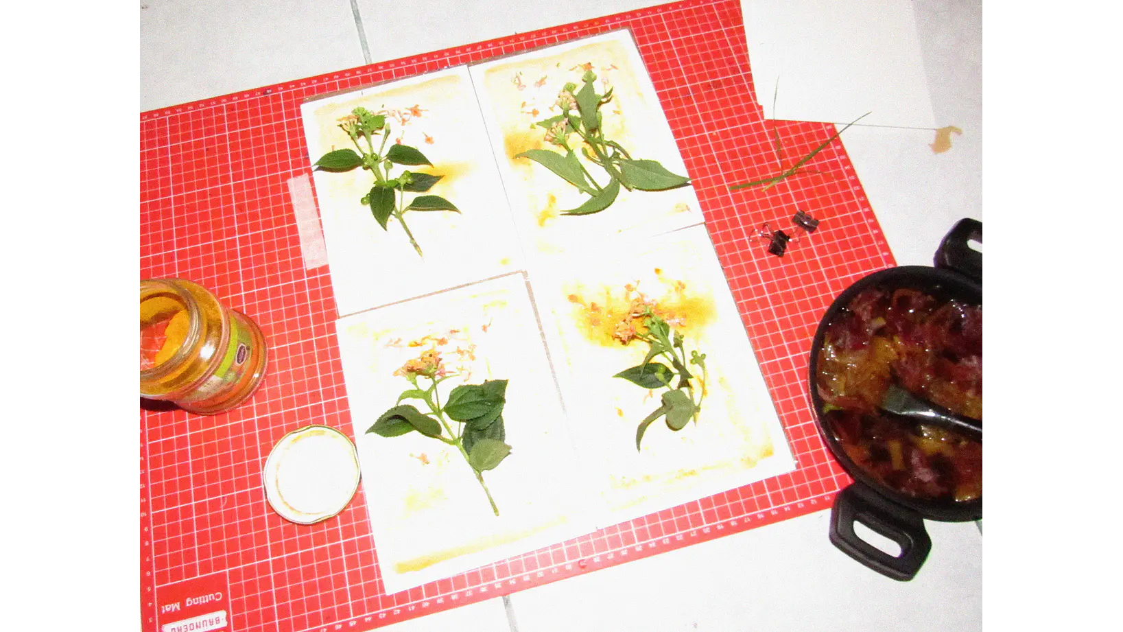 Taller Grupal de Antotipia 2