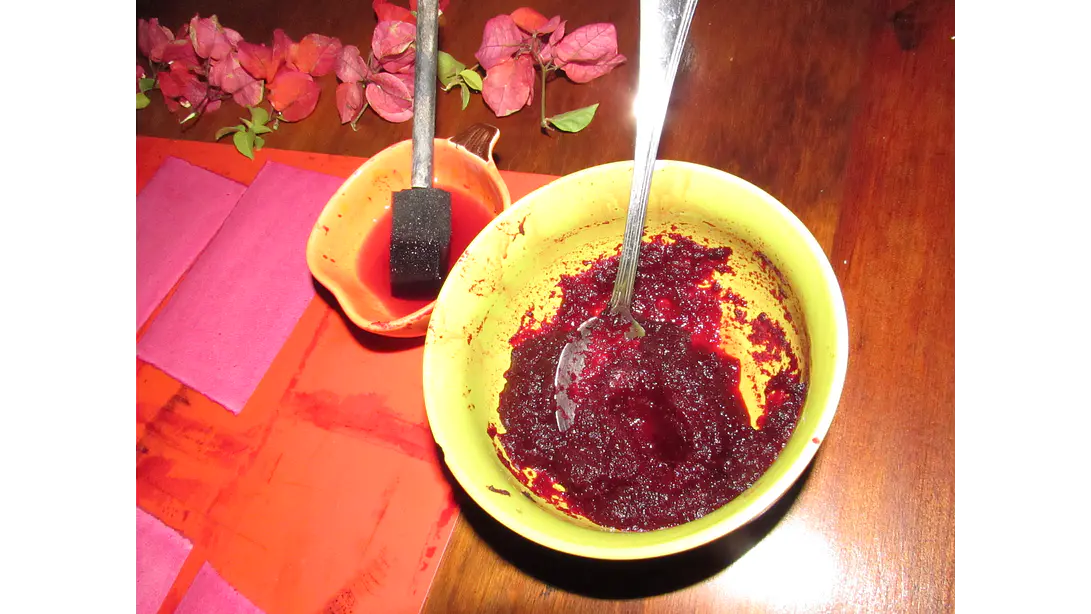 Taller individual Online Introducción a la Antotipia 2