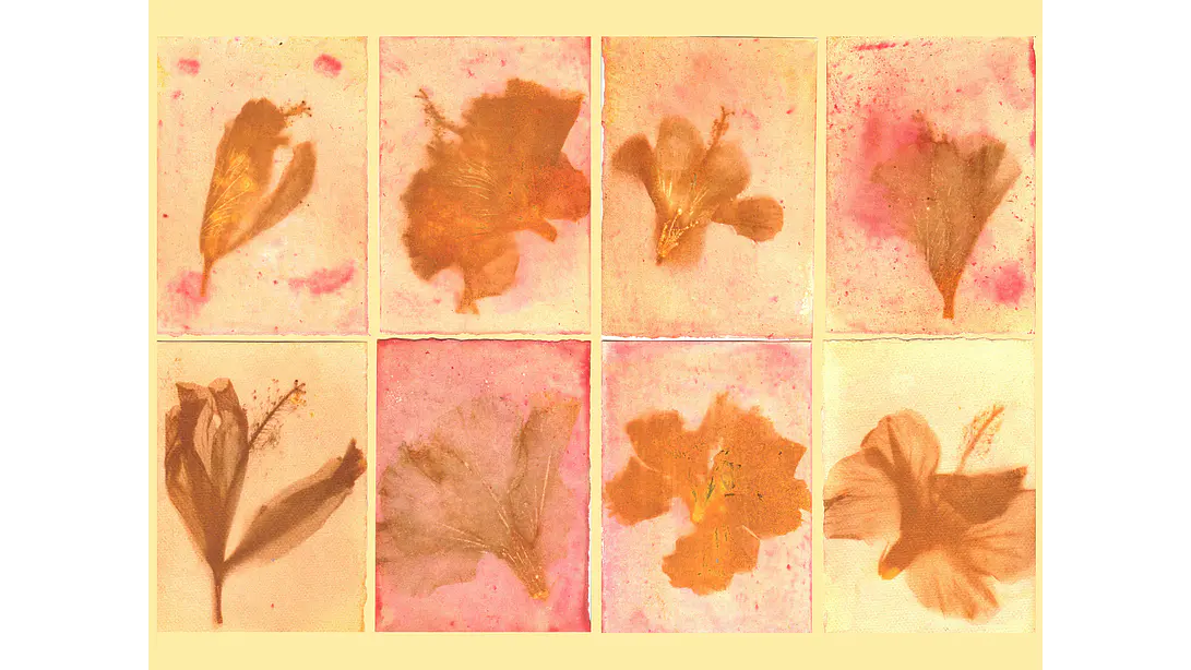 Taller individual Online Introducción a la Antotipia 3