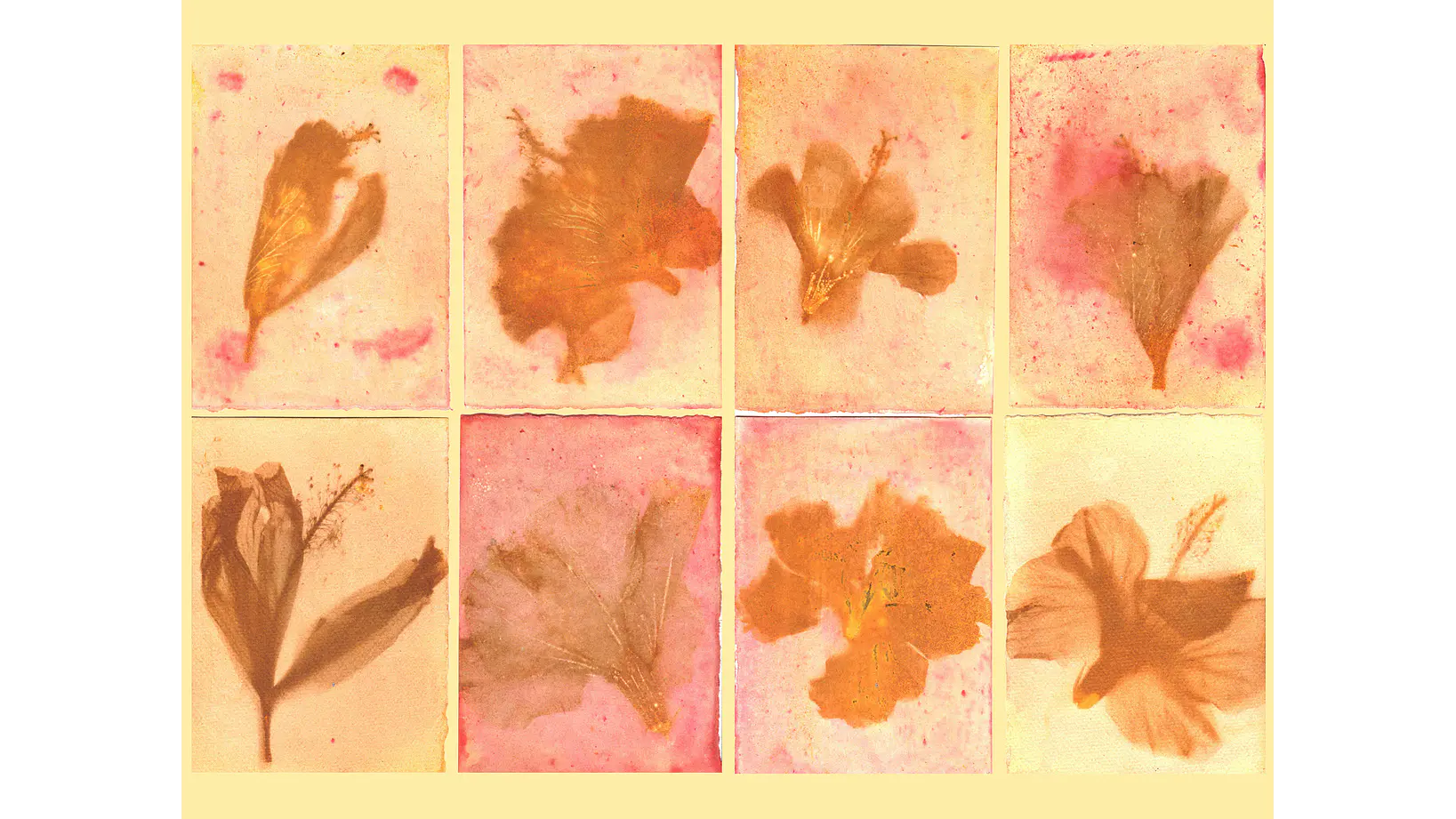 Taller individual Online Introducción a la Antotipia 3