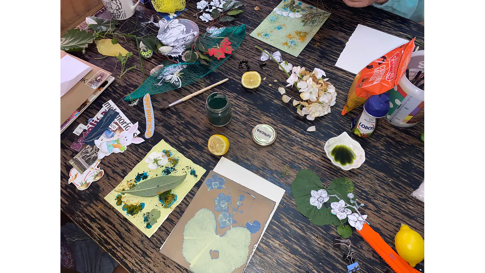 Taller individual Online Introducción a la Cianotipia 2