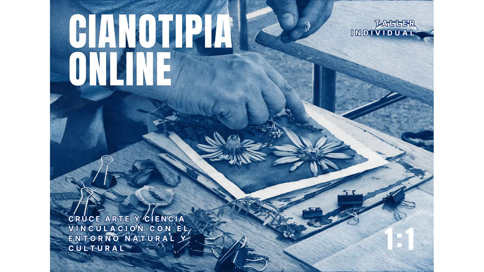 Taller individual Online Introducción a la Cianotipia 1