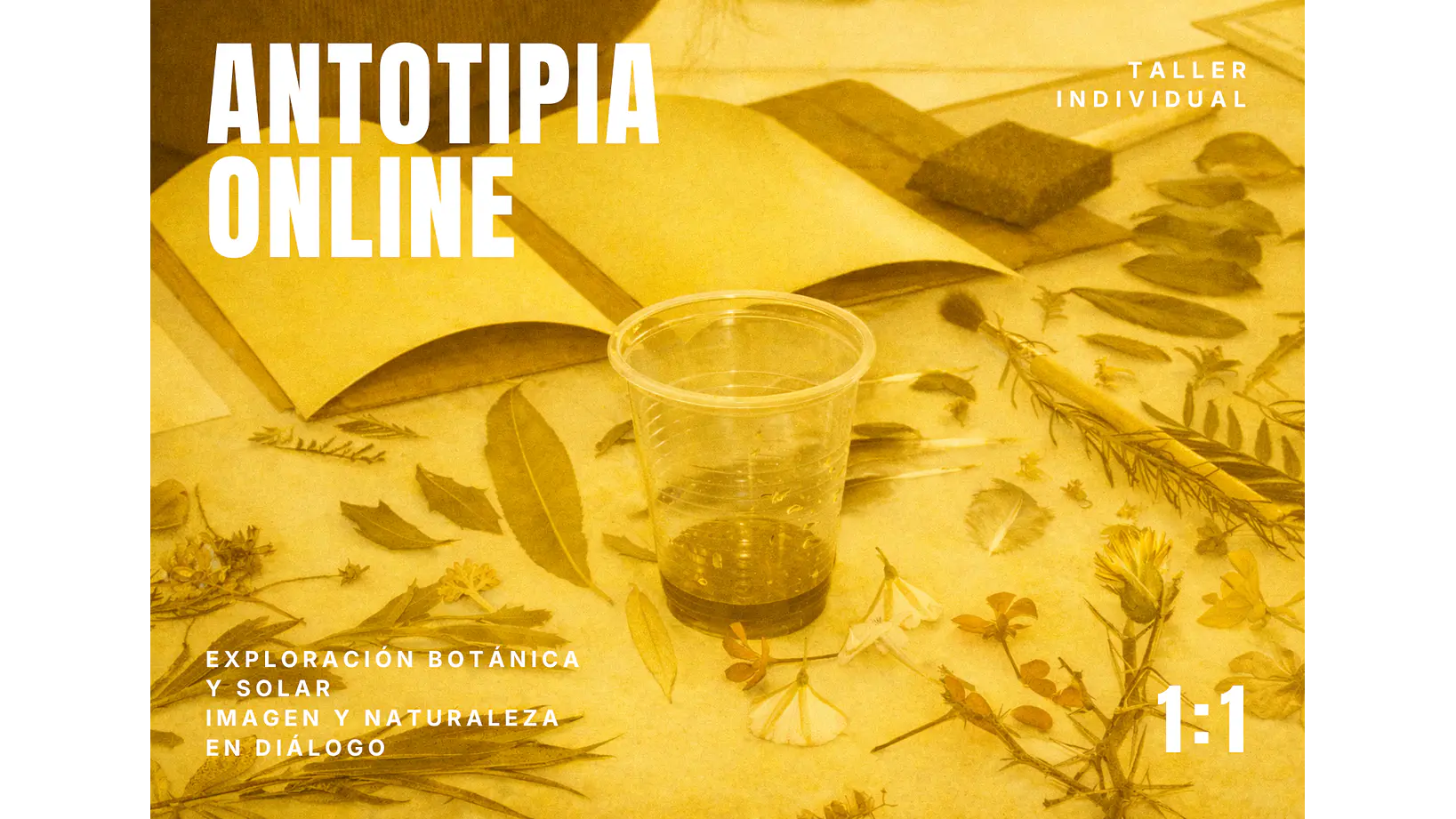 Taller individual Online Introducción a la Antotipia 1
