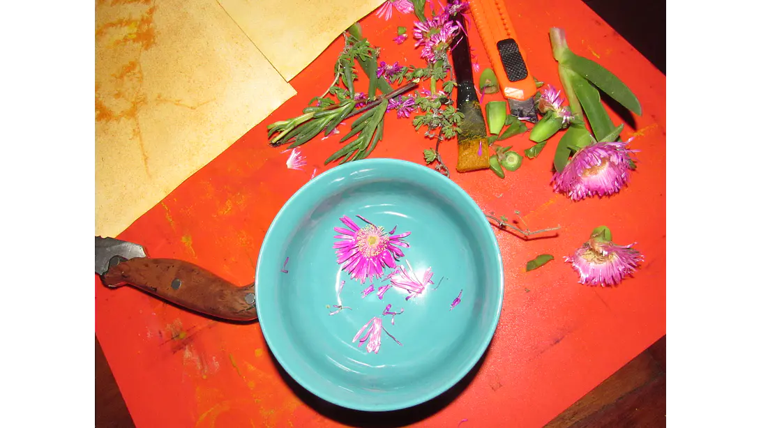 Taller individual Online Introducción a la Antotipia 4