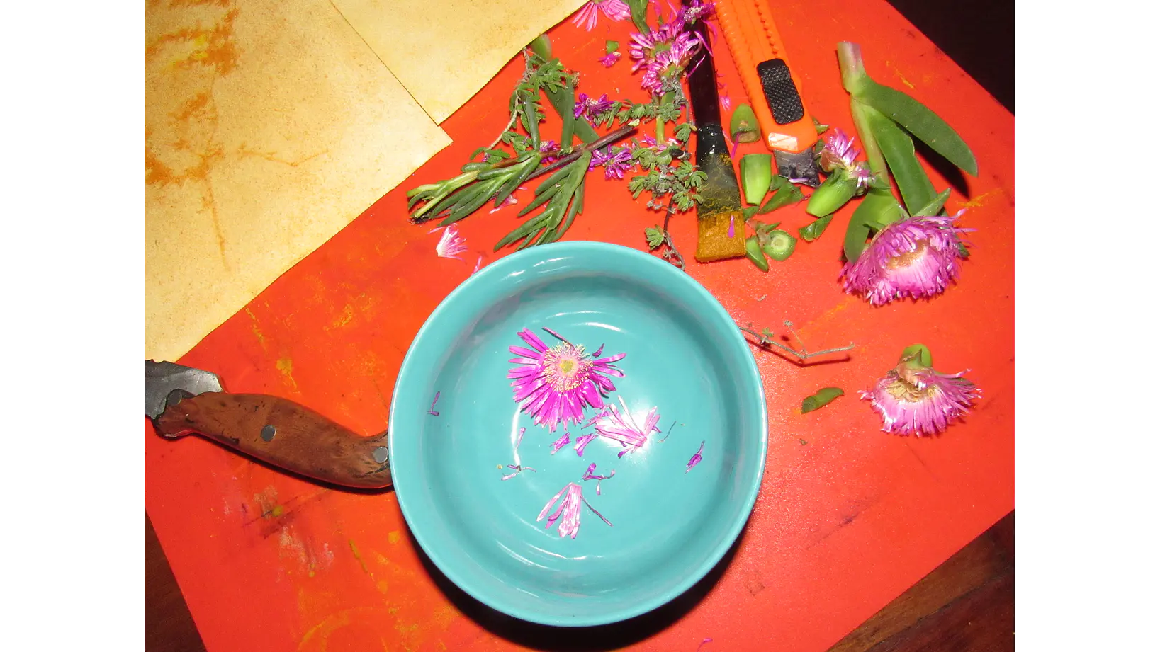 Taller individual Online Introducción a la Antotipia 4