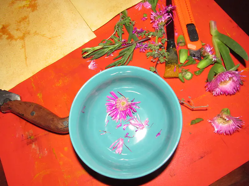 ¿Qué es la antotipia?