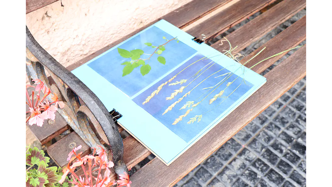 Contactera 30 x 30 cms procesos fotográficos por contacto 3