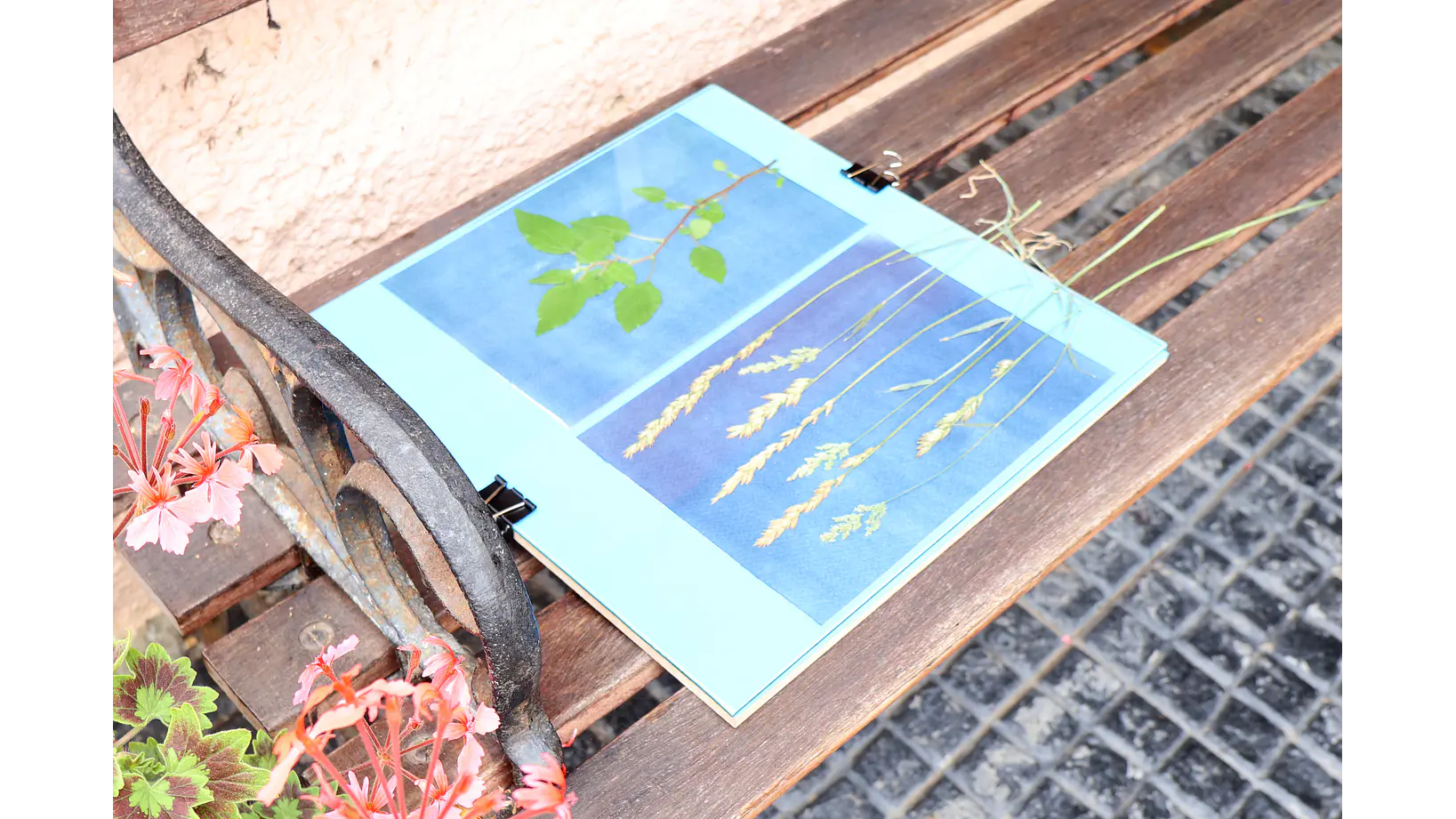 Contactera 30 x 30 cms procesos fotográficos por contacto 3