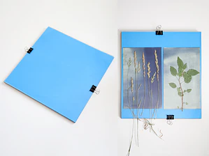 Contactera 30 x 30 cms procesos fotográficos por contacto