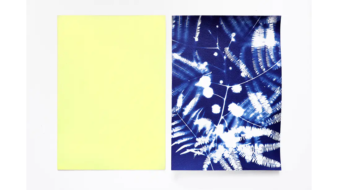 Papel sensibilizado cianotipia 32 x 24 cms 1