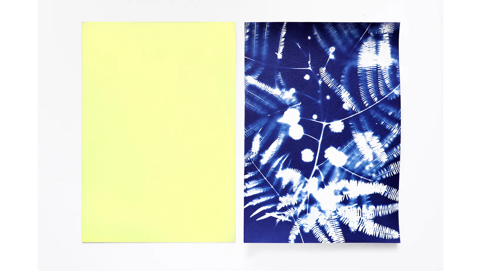 Papel sensibilizado cianotipia 32 x 24 cms 1