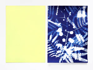 Papel sensibilizado cianotipia 32 x 24 cms