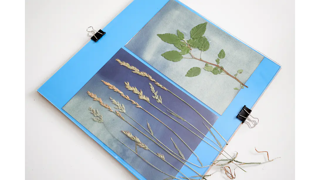 Contactera 30 x 30 cms procesos fotográficos por contacto 2