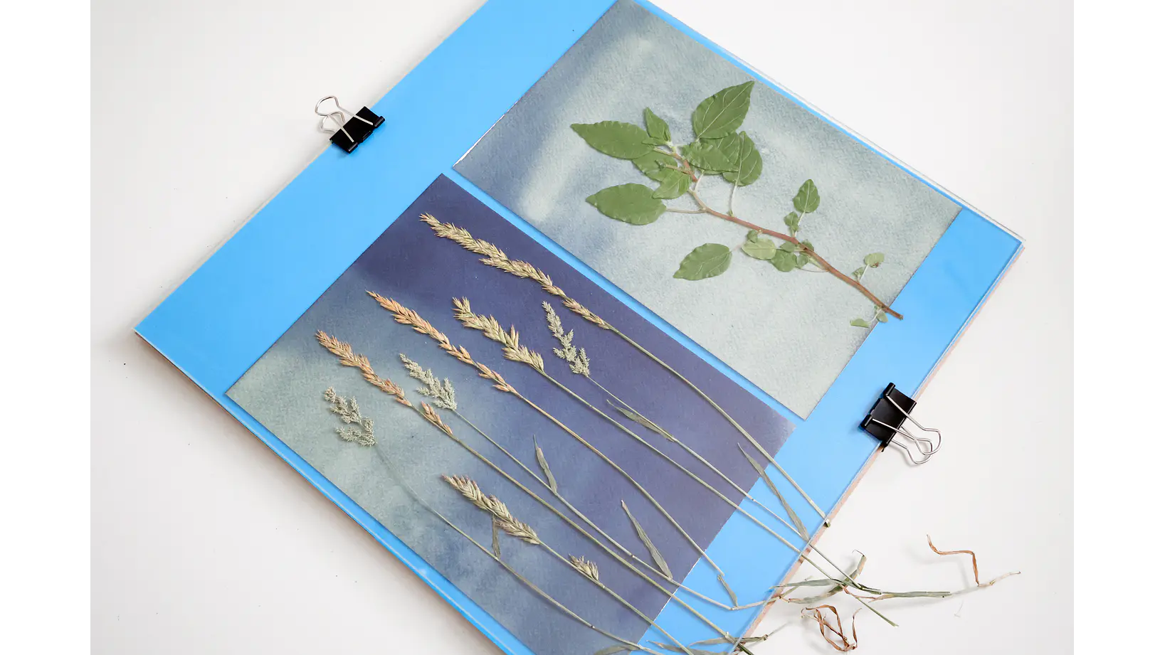 Contactera 30 x 30 cms procesos fotográficos por contacto 2