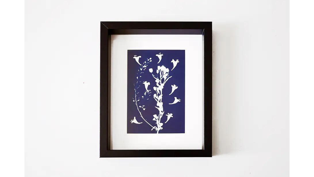 Cuadro Abelia 16,5 × 21,5 cm 1