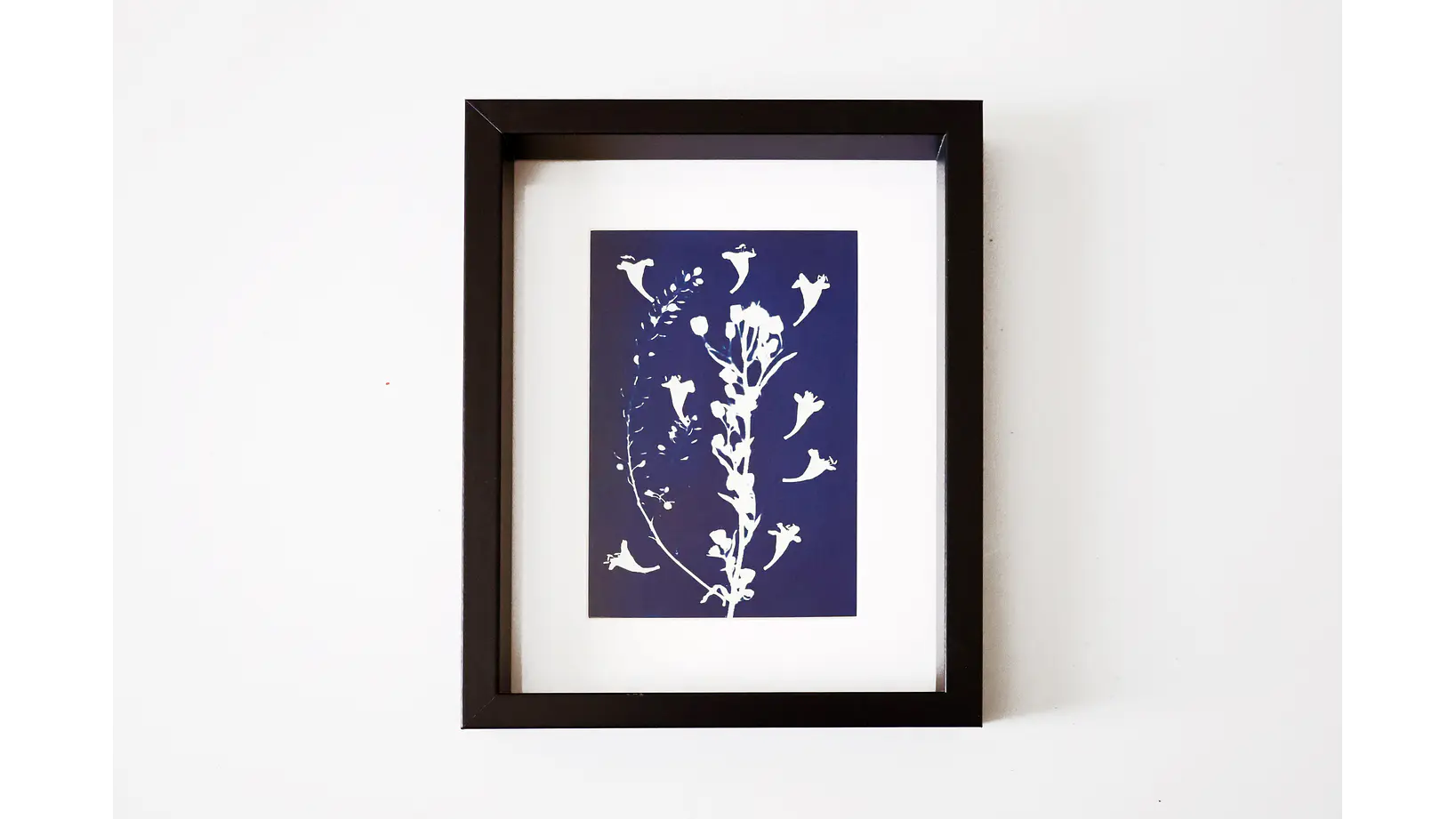 Cuadro Abelia 16,5 × 21,5 cm 1