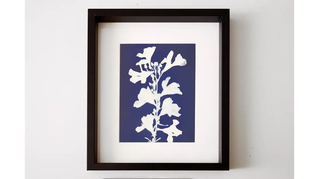 Cuadro Flor de Laurel1 21,5 × 26,5 cm 1