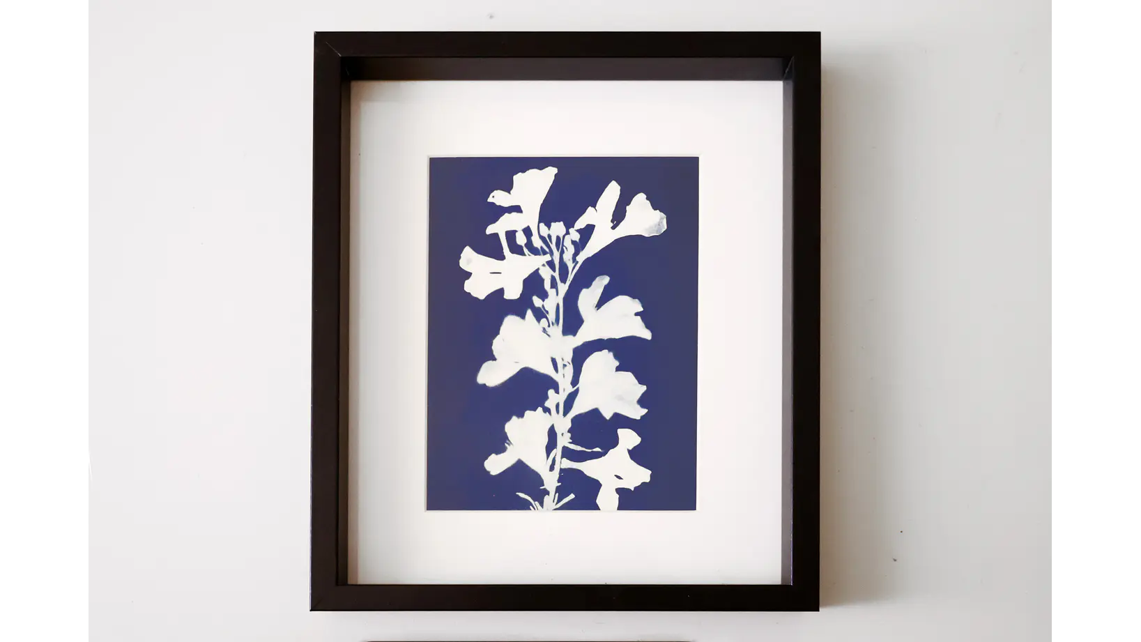 Cuadro Flor de Laurel1 21,5 × 26,5 cm 1