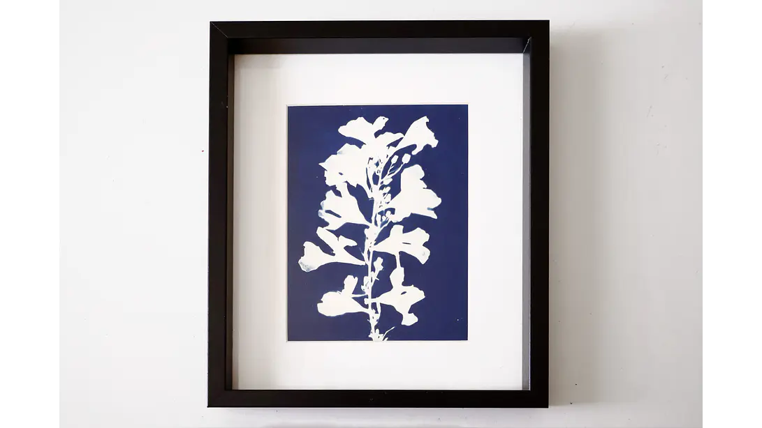 Cuadro Flor de Laurel2 21,5 × 26,5 cm 1