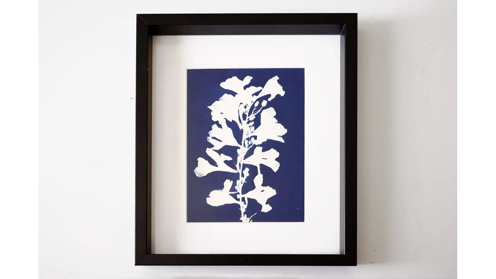 Cuadro Flor de Laurel2 21,5 × 26,5 cm 1