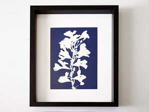 Cuadro Flor de Laurel2 21,5 × 26,5 cm