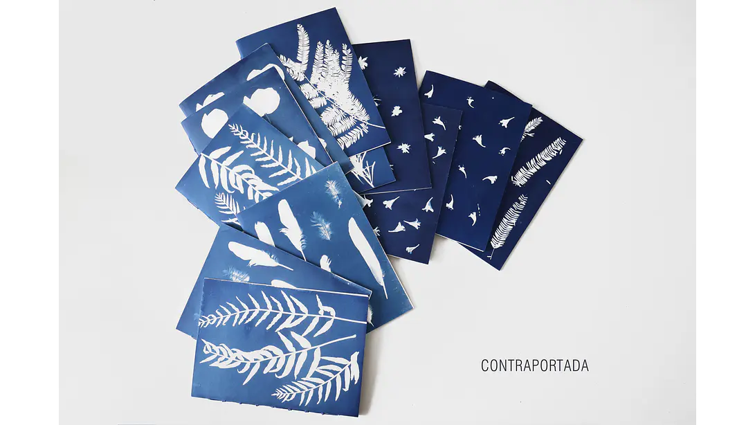 Libreta A5 20 hojas Edición Verano Serenense 3