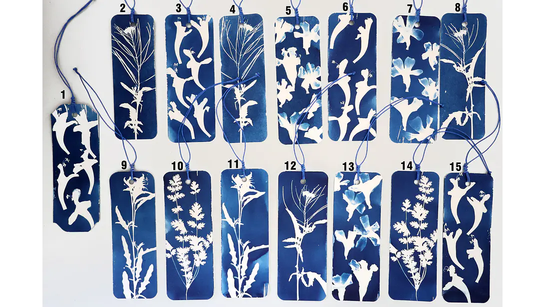 Marcapágina Botánica de Alto del Carmen 2