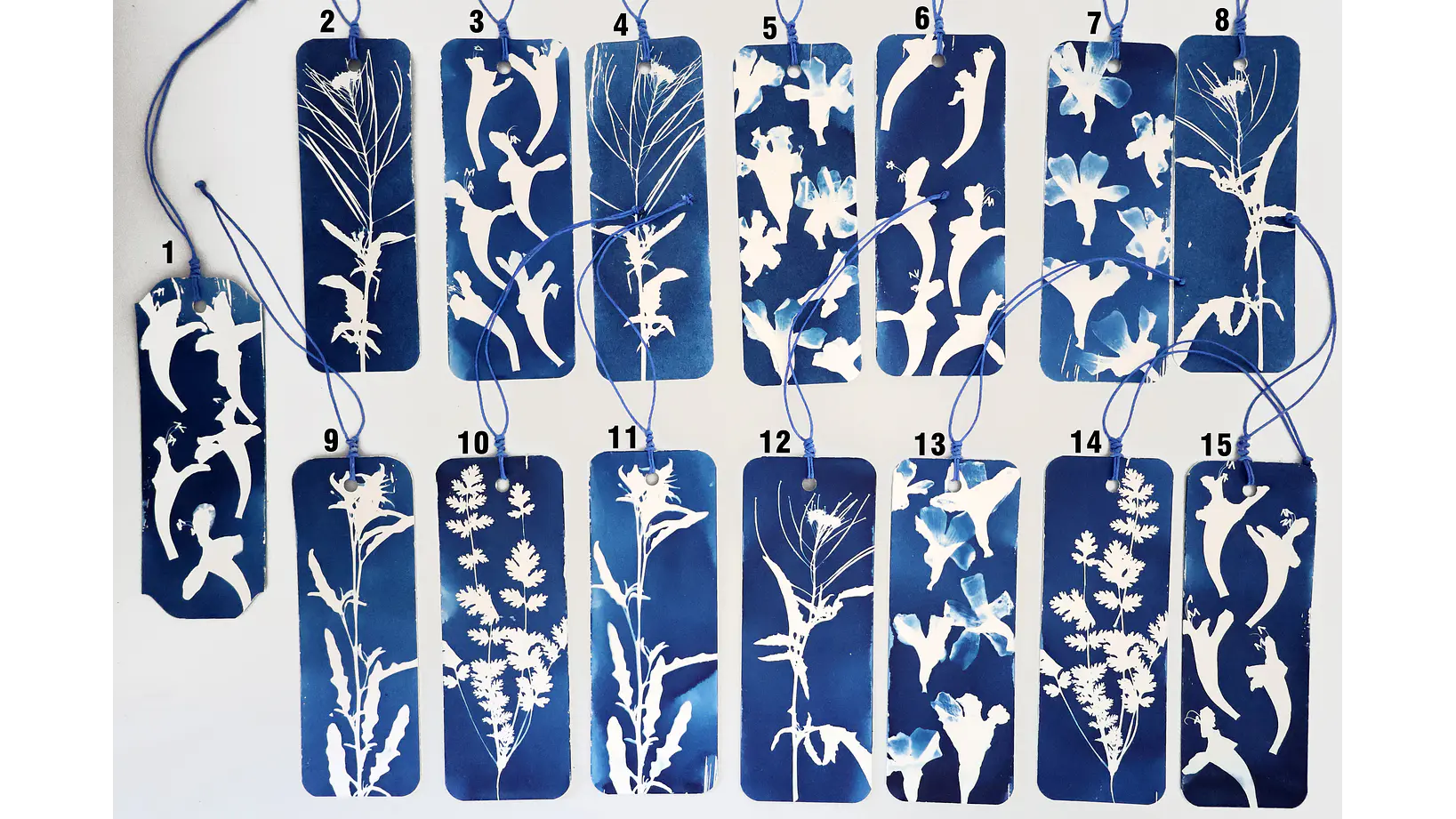 Marcapágina Botánica de Alto del Carmen 2