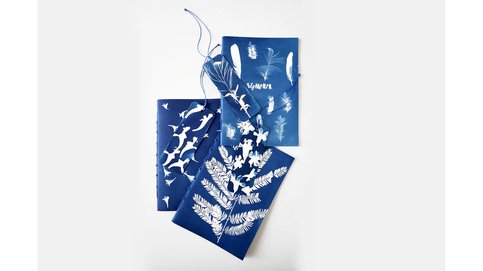 Marcapágina Botánica de Alto del Carmen 3